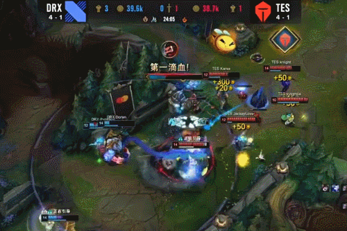 豪门的关注 豪门的关注