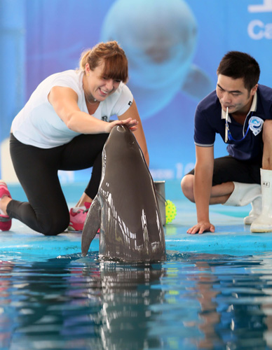 我建议关注 我建议关注